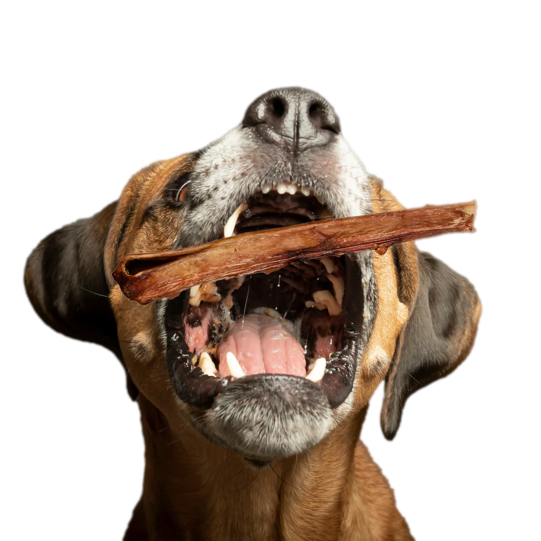 Bully Sticks